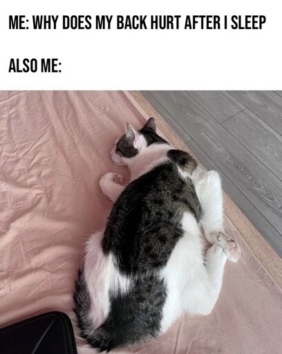WtfIsThat pose