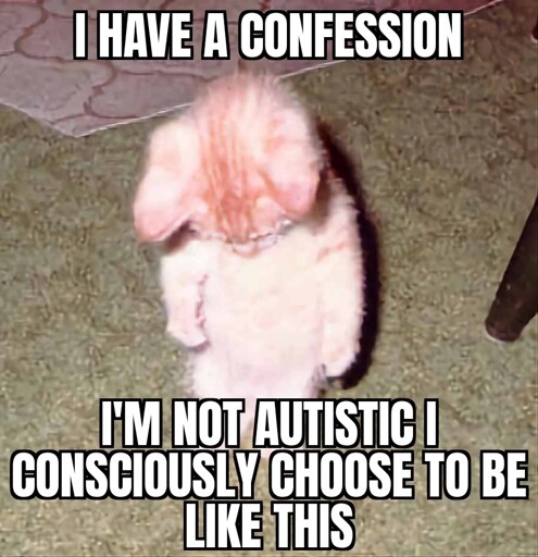 A cat standing up on two legs with it's head looking down. A text reads: "I have a confession I'm not autistic i consciously choose to be like this" 