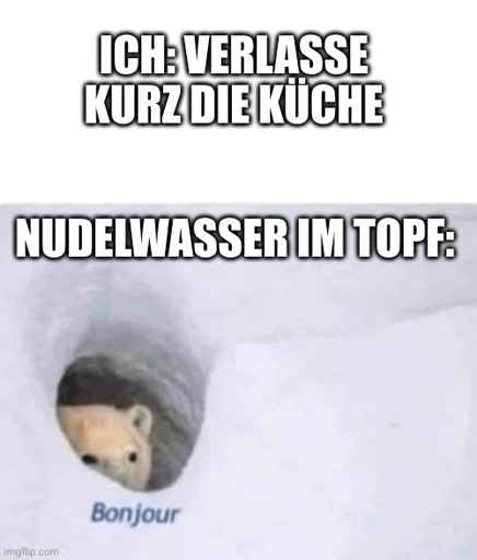 Ich: verlasse kurz die Küche. Nudelwasser im Topf: [Bild eines Eisbärs, der seinen Kopf aus der Höhle reckt, daneben steht "Monteur"]