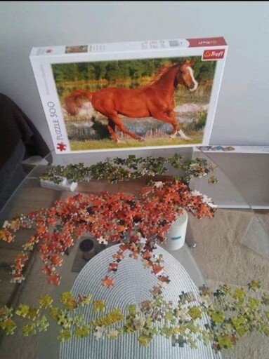 Horse