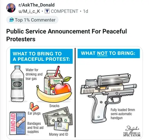 Nazis demanding no pistols at a protest