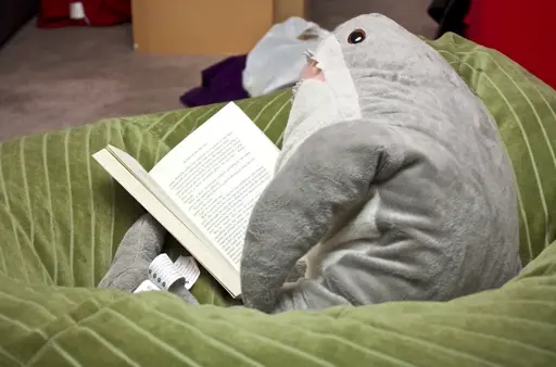 A photograph of a plush toy in the shape of grey shark. The toy has been propped up in a bean bag chair and given a book so that it appears to be reading.