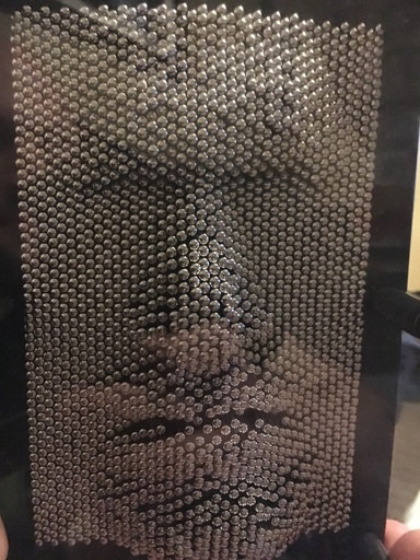 Imprint of a face on a set of pins