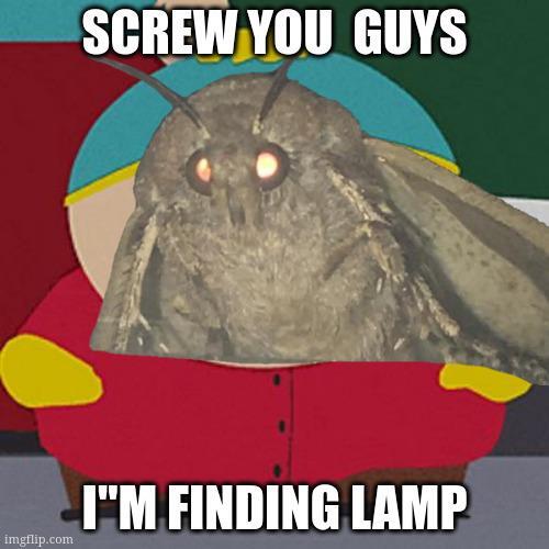 everywhere last night