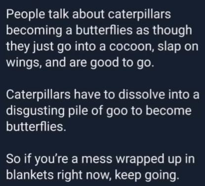 People talk about caterpillars becoming a butterflies as though they just go into a cocoon, slap on wings, and are good to go. Caterpillars have to dissolve into a disgusting pile of goo to become butterflies. So if you're a mess wrapped up in blankets right now, keep going.