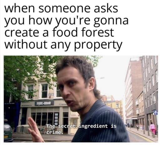 Title: When someone asks you how you’re going to create a food forest without any property. Picture of a man saying “the secret ingredient is crime.”