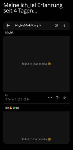 Memetext: Meine ich_iel Erfahrung seit 4 Tagen. Darunter ein Screenshot der App Voyager, der Pfostierungen von ich_iel mit fehlerhaften Bildern zeigt