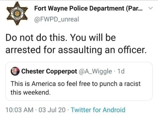 punch a cop